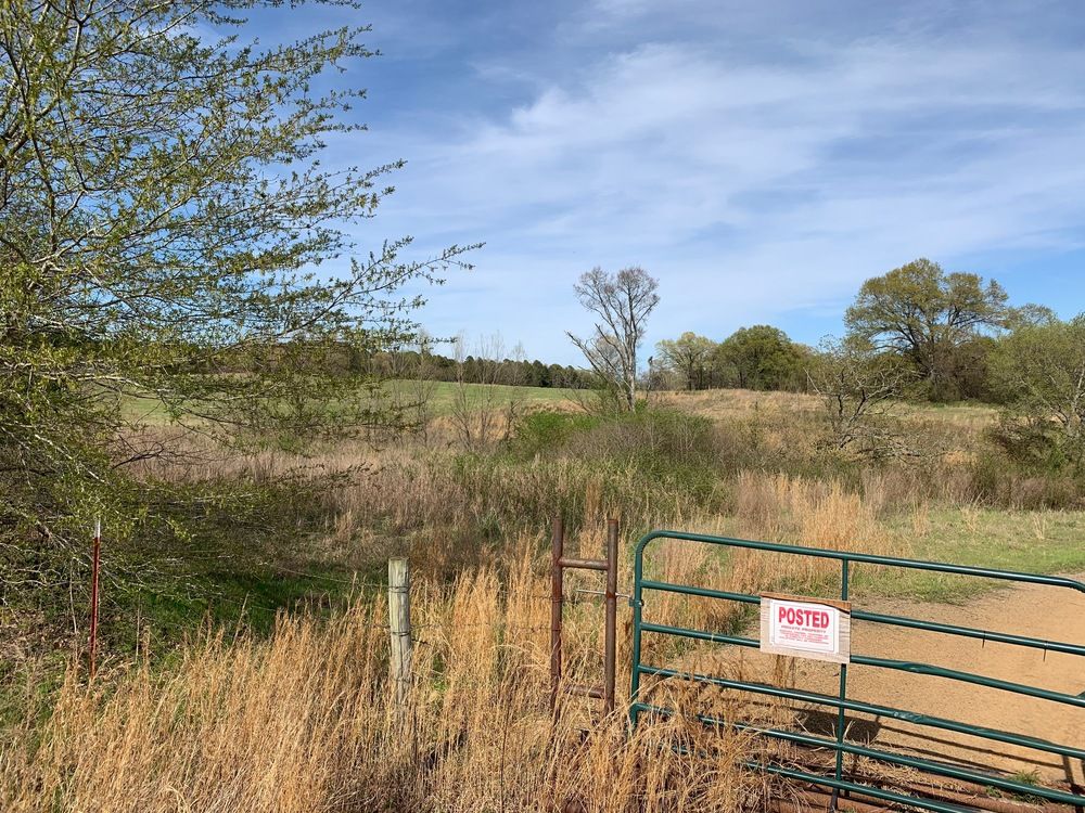 TBD Pleasant View Rd: TBD Pleasant View Rd, Ozark, AR 72949
